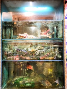 Live seafood tank