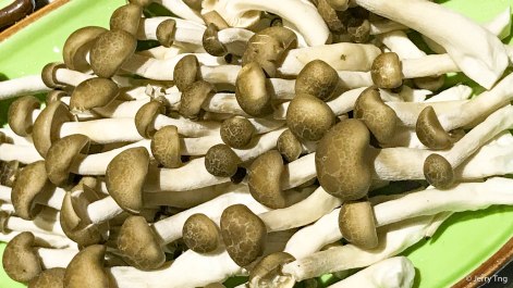 蟹味菇 bunashimeji mushroom