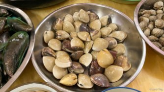 Manila clams